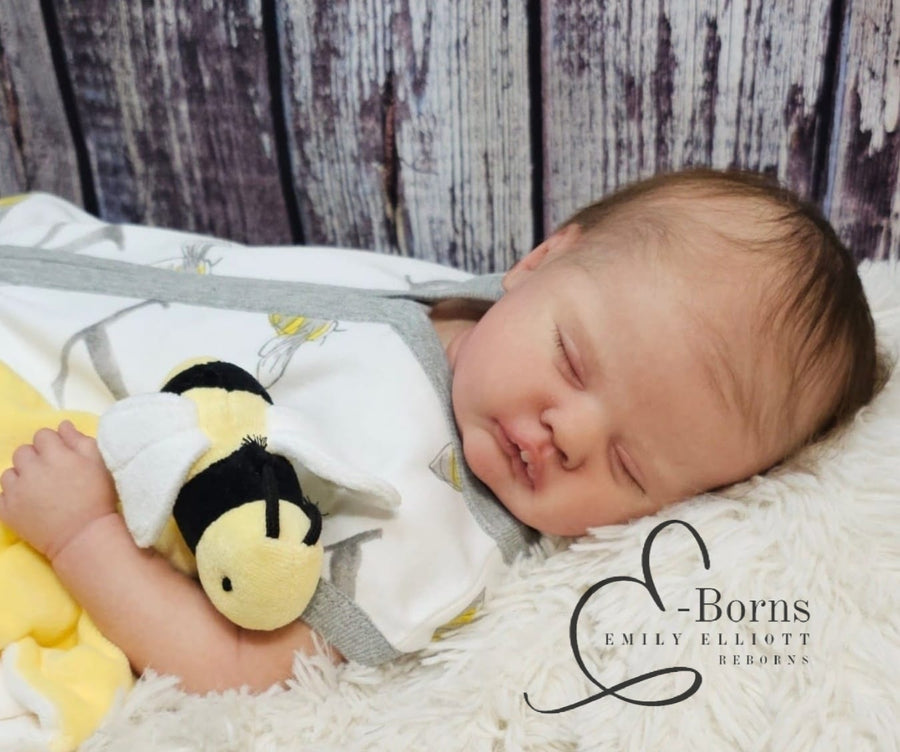 E-BORNS — photo 7