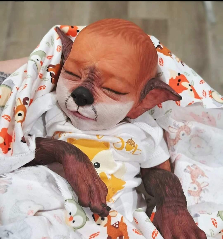 FOX N SOX NURSERY — photo 5