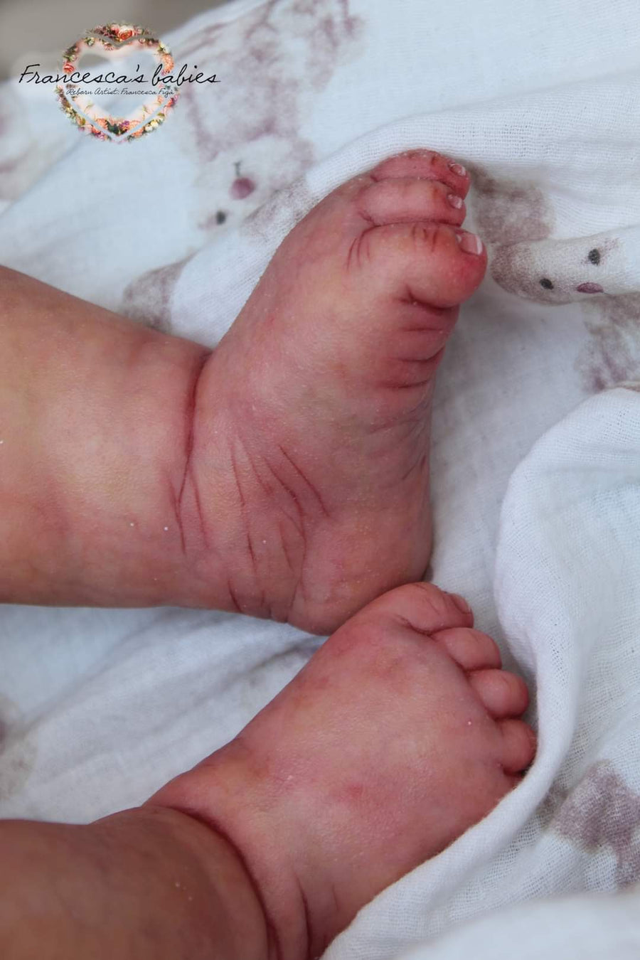 FRANCESCA'S BABIES — photo 4