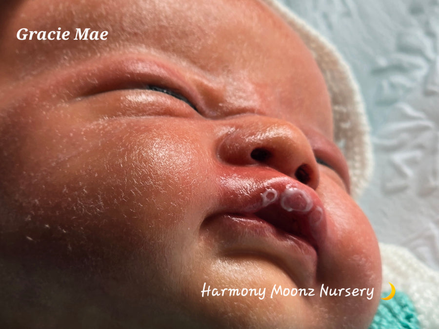 HARMONY MOONZ NURSERY — photo 4