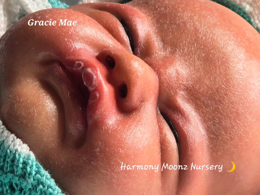 HARMONY MOONZ NURSERY — photo 5
