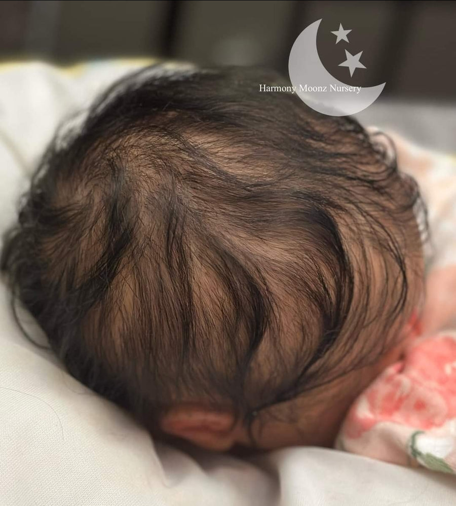 HARMONY MOONZ NURSERY — photo 8
