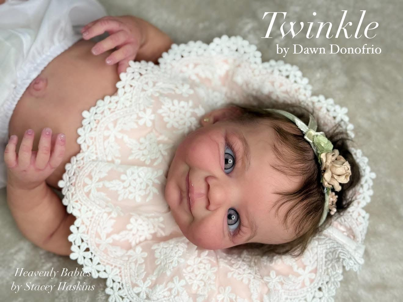 HEAVENLY BABIES BY STACEY HASKINS