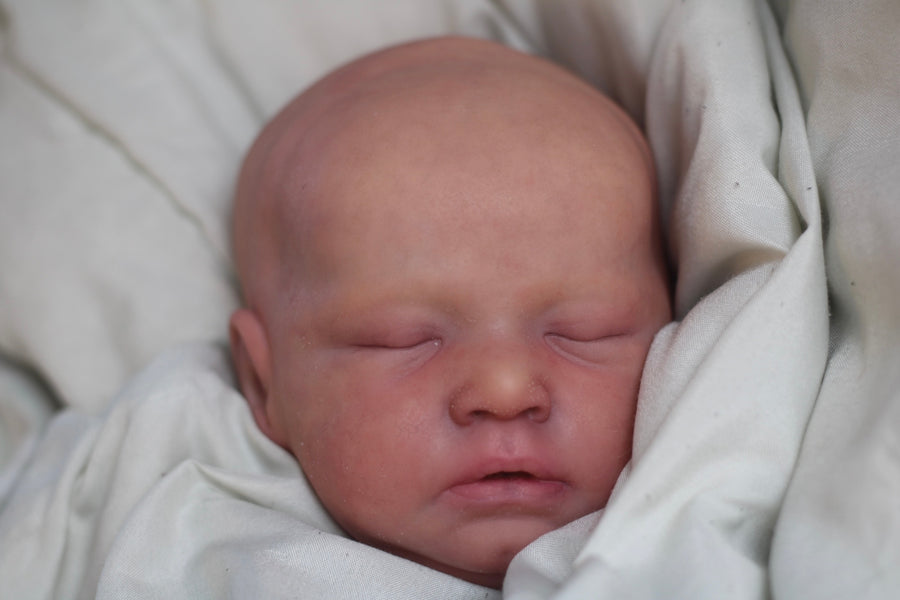 LIL LUV BUGS REBORNS — photo 3
