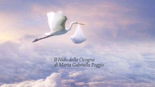 IL NIDO DELLA CICOGNA — photo 2