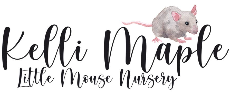 LITTLE MOUSE NURSERY — photo 2