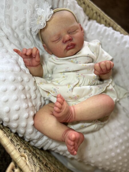 LAYLA BUGS NURSERY — photo 4