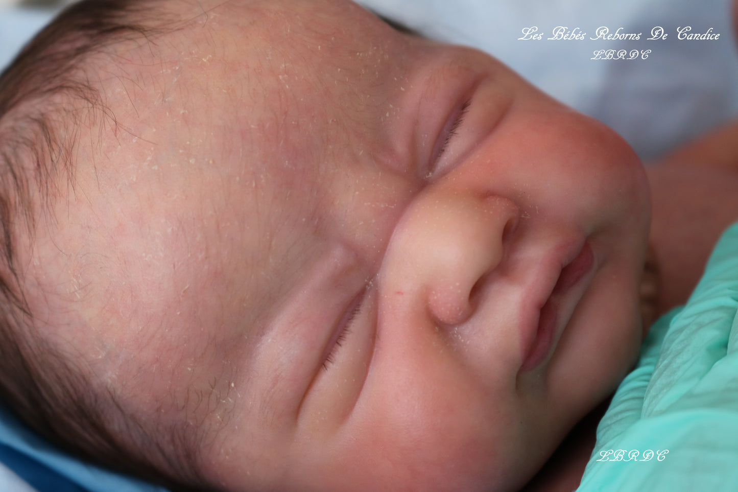 LES BÉBÉS REBORNS DE CANDICE