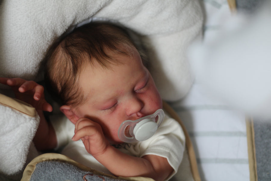 LIL LUV BUGS REBORNS — photo 9