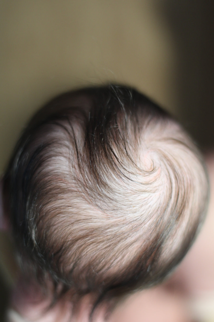 LIL LUV BUGS REBORNS — photo 7
