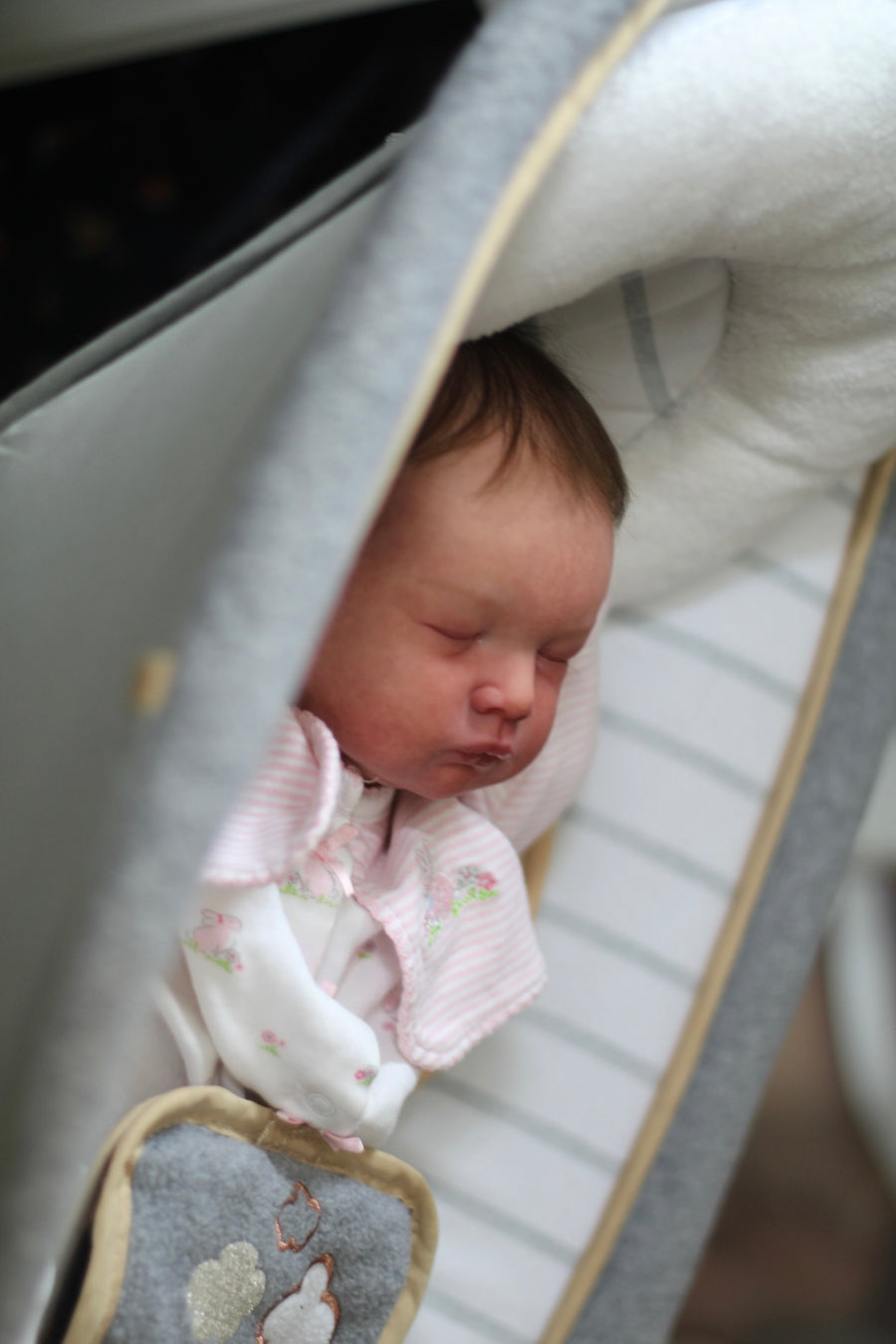 LIL LUV BUGS REBORNS — photo 11