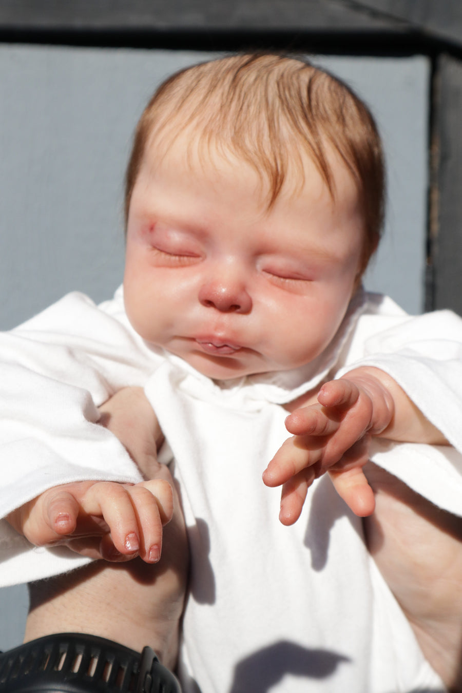 Little Bundles Reborns — photo 5