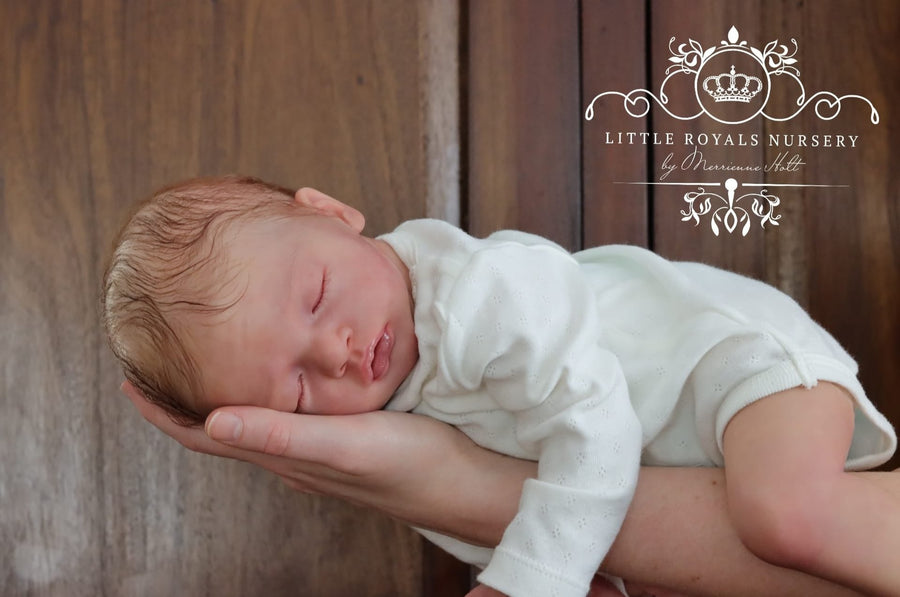 LITTLE ROYALS NURSERY — photo 8