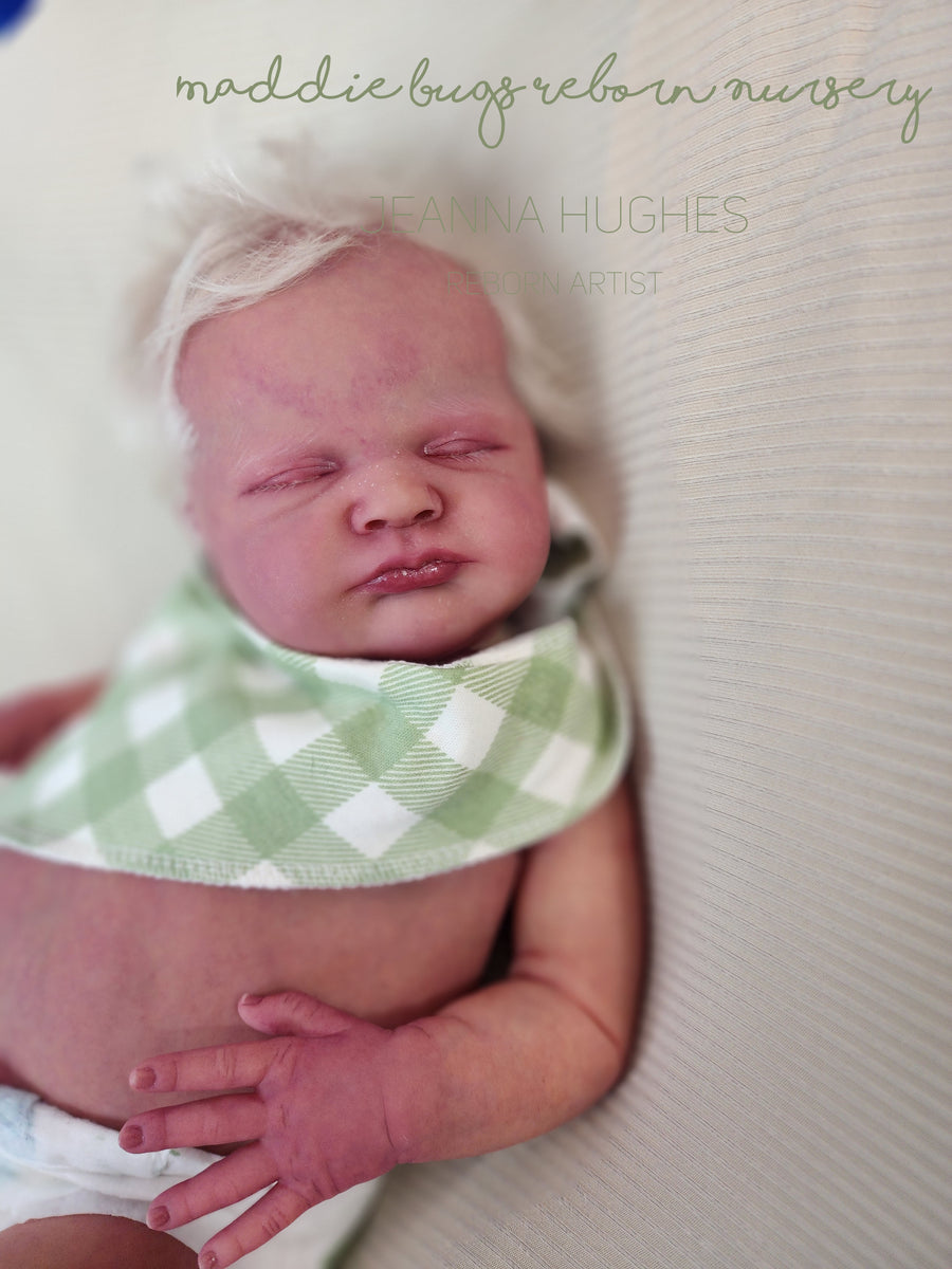 MADDIE BUGS REBORN NURSERY — photo 6