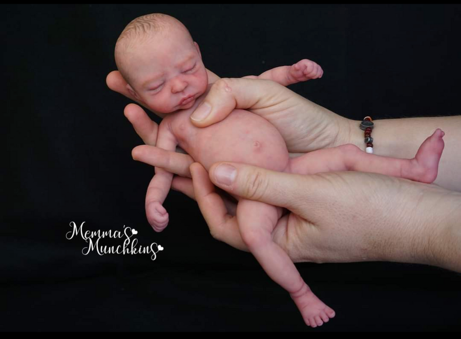MEMMA'S MUNCHKINS — photo 3