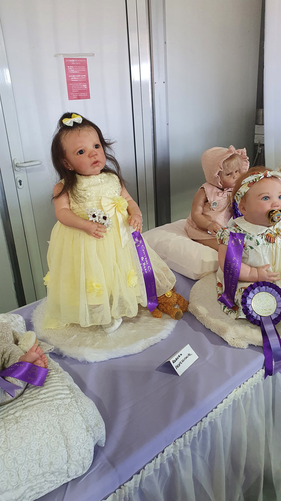 MINIME REBORNS — photo 4