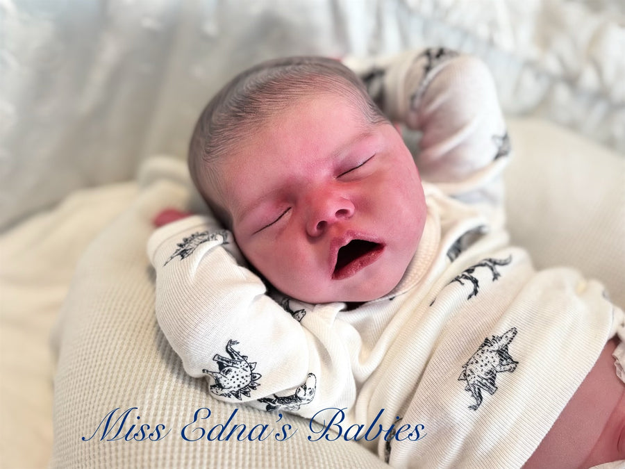 MISS EDNA’S BABIES — photo 4