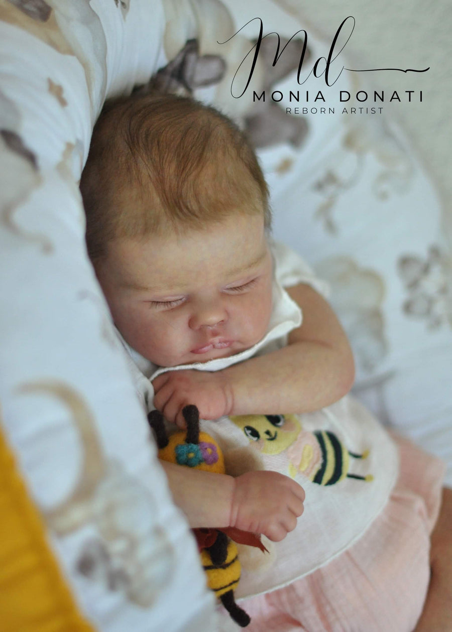MONIA DONATI REBORN ART — photo 4