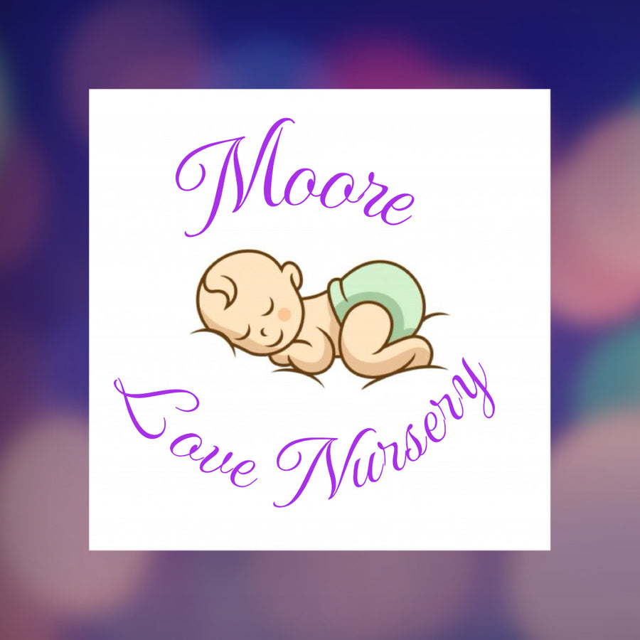 MOORE LOVE NURSERY — photo 2