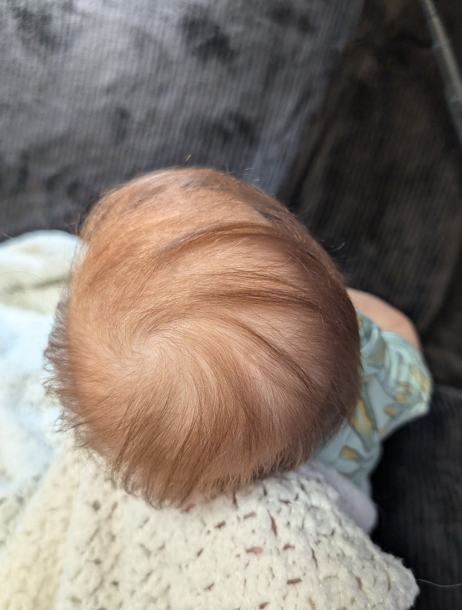 MUFFIN GRANNY — photo 6