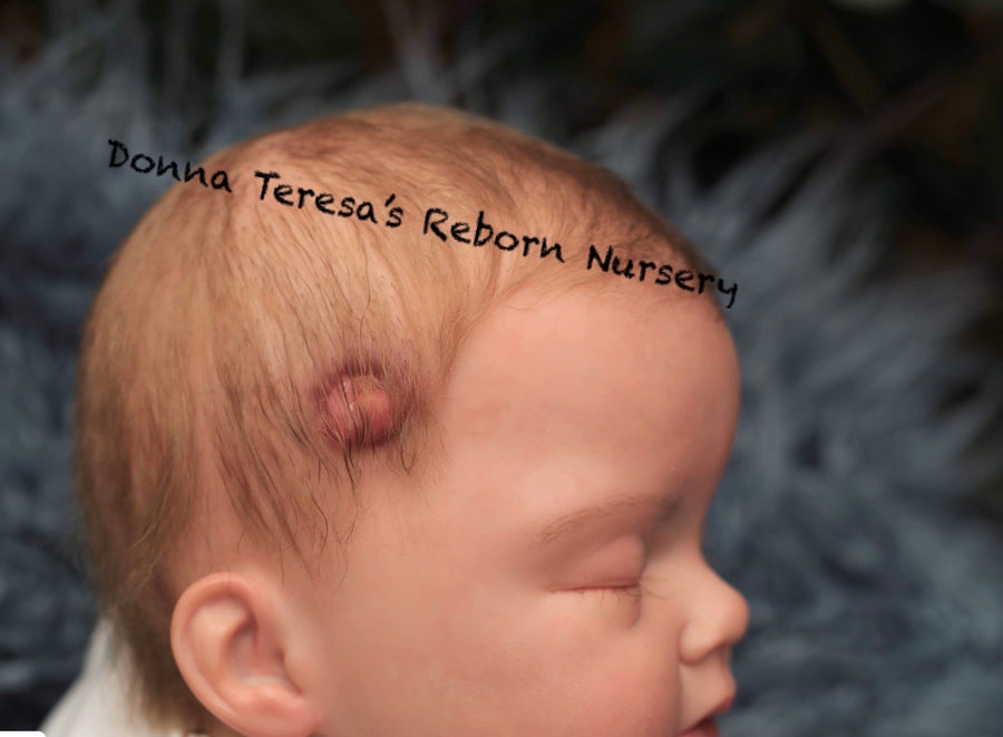 NEW WORLD REBORN NURSERY — photo 7