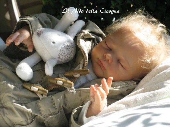 Nido della Cicogna — photo 4