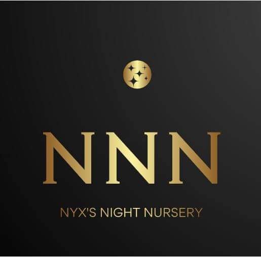 NYX'S NIGHT NURSERY — photo 2