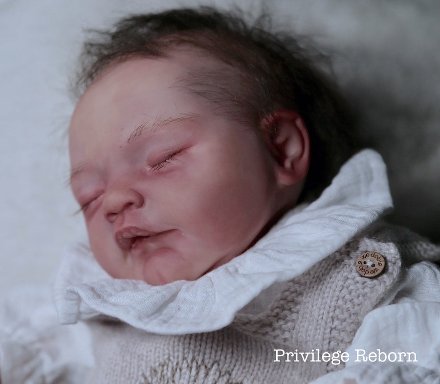 PRIVILEGE REBORN — photo 7
