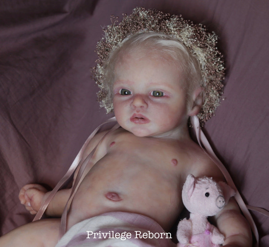 PRIVILEGE REBORN — photo 4