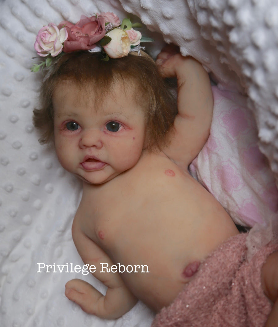 PRIVILEGE REBORN — photo 8