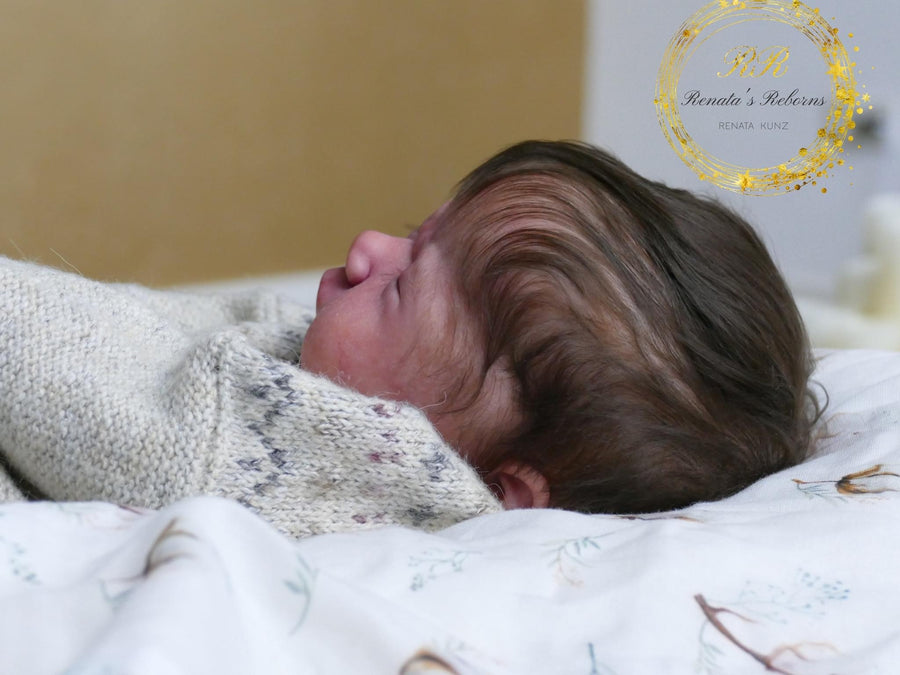 RR RENATA'S REBORNS — photo 8