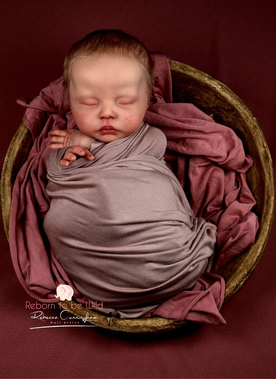 REBORN TO BE WILD NURSERY — photo 3