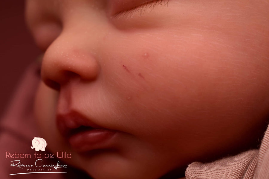 REBORN TO BE WILD NURSERY — photo 9