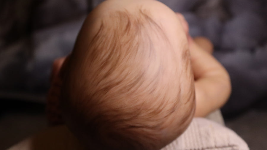 SERENA REBORNS — photo 9