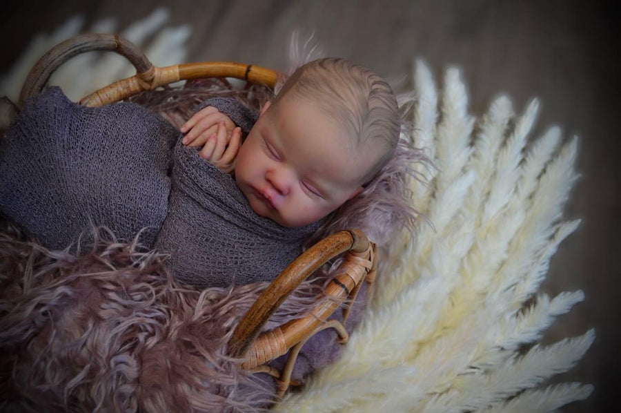 SMOKY MOUNTAIN REBORNS — photo 2
