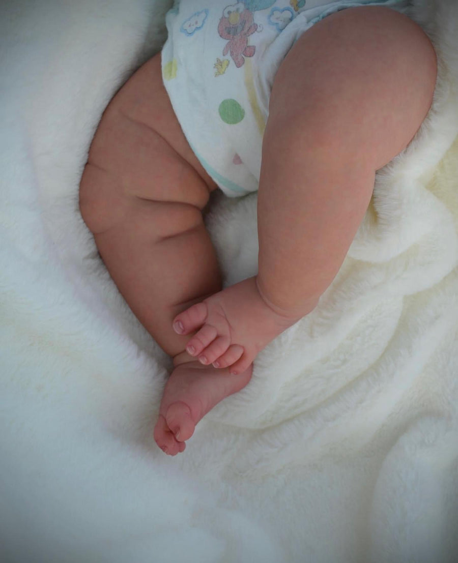 SMOKY MOUNTAIN REBORNS — photo 9