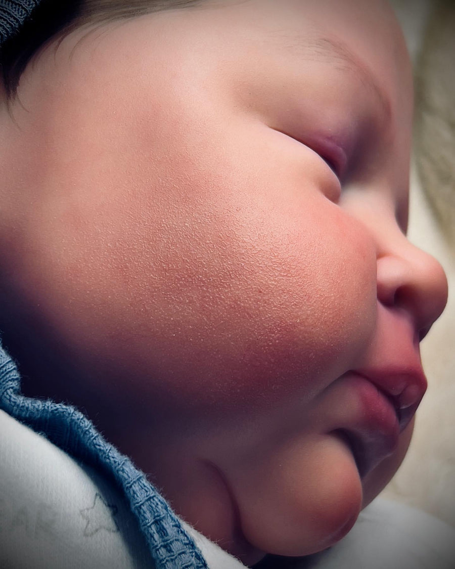 SMOKY MOUNTAIN REBORNS — photo 6