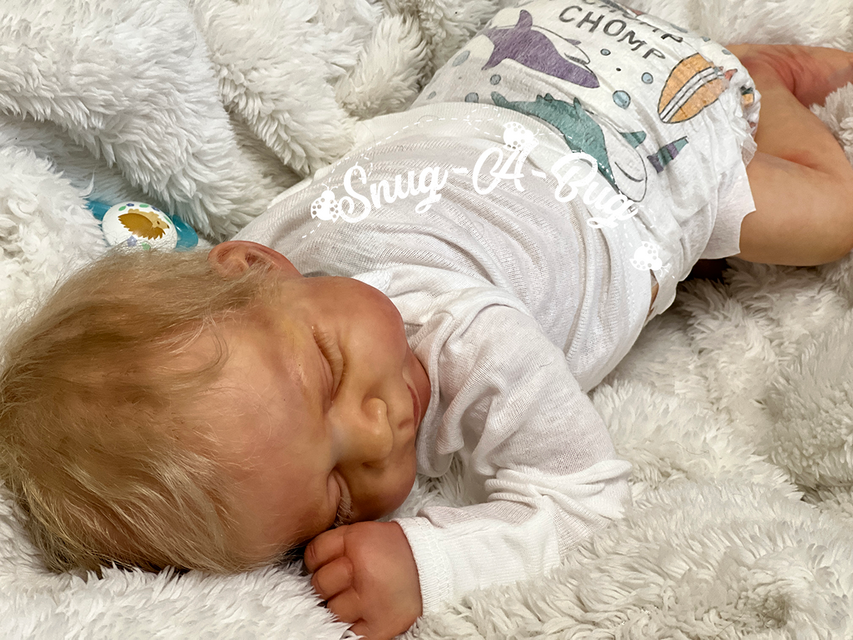 SNUG-A-BUG REBORN NURSERY BY CASEY — photo 4