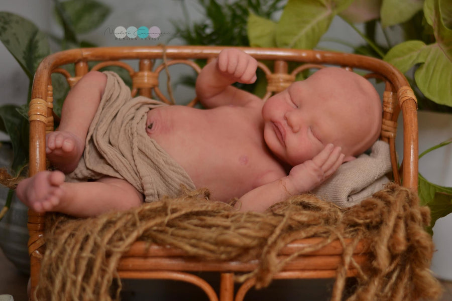 SOFT DOLLS CREATION — photo 4