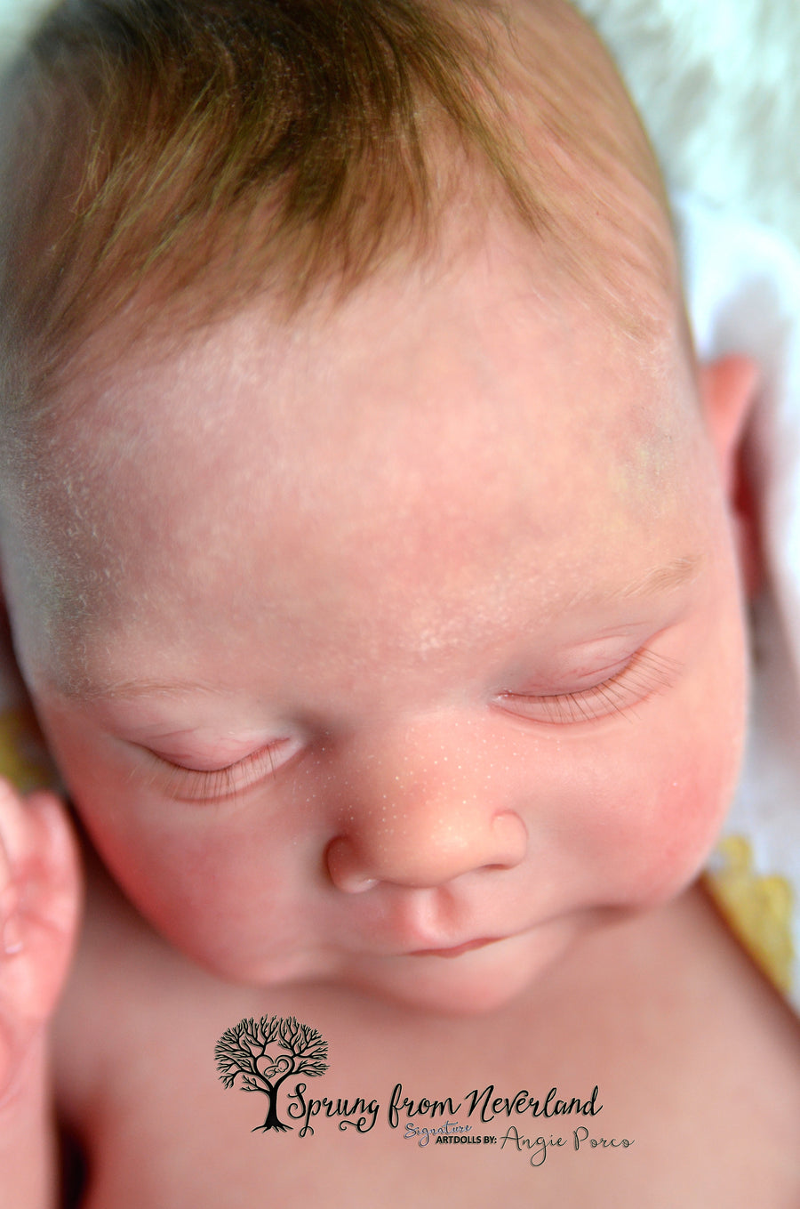 SPRUNG FROM NEVERLAND REBORNS — photo 6