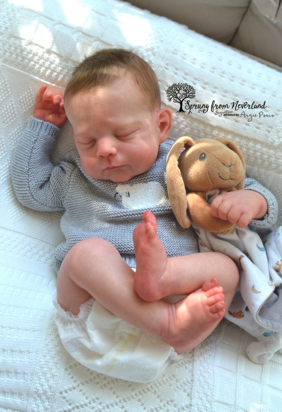 SPRUNG FROM NEVERLAND REBORNS — photo 5