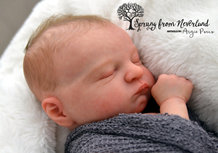 SPRUNG FROM NEVERLAND REBORNS — photo 11