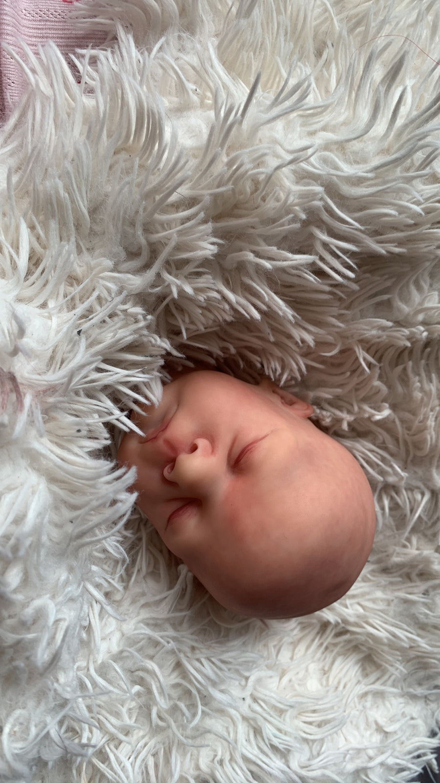 SUNNYSKY_NURSERY — photo 7