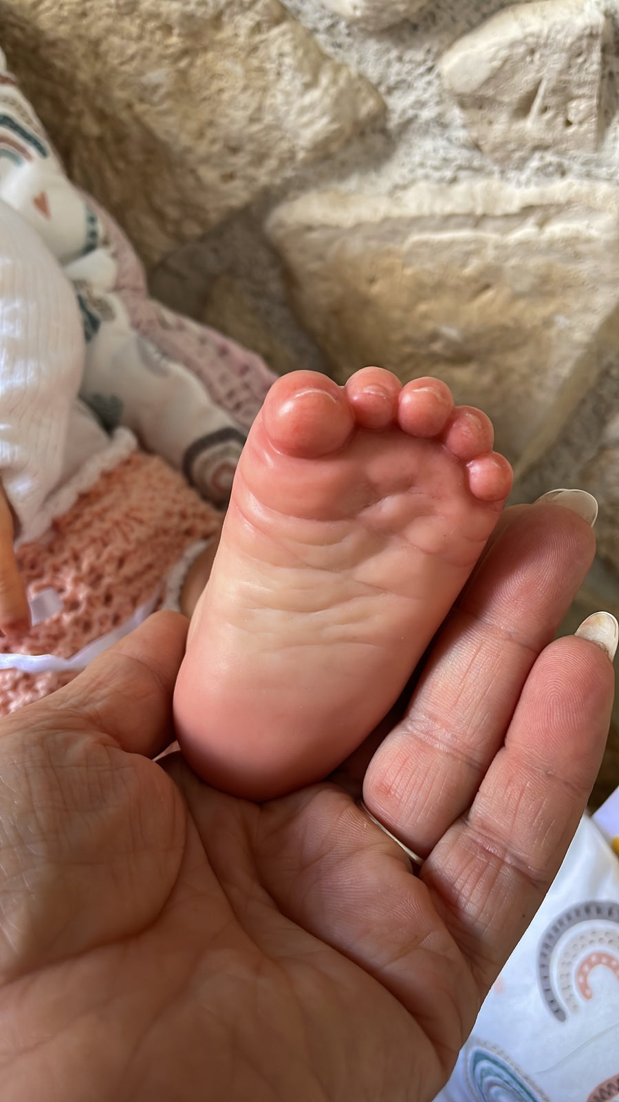 TAKI'S KLEINE HASENKINDER — photo 7