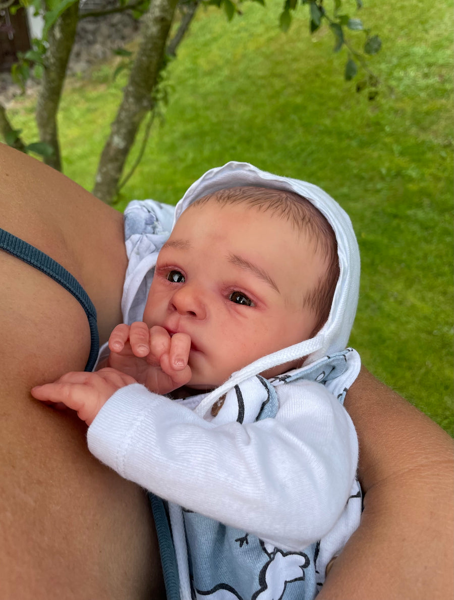 TAKI'S KLEINE HASENKINDER — photo 3