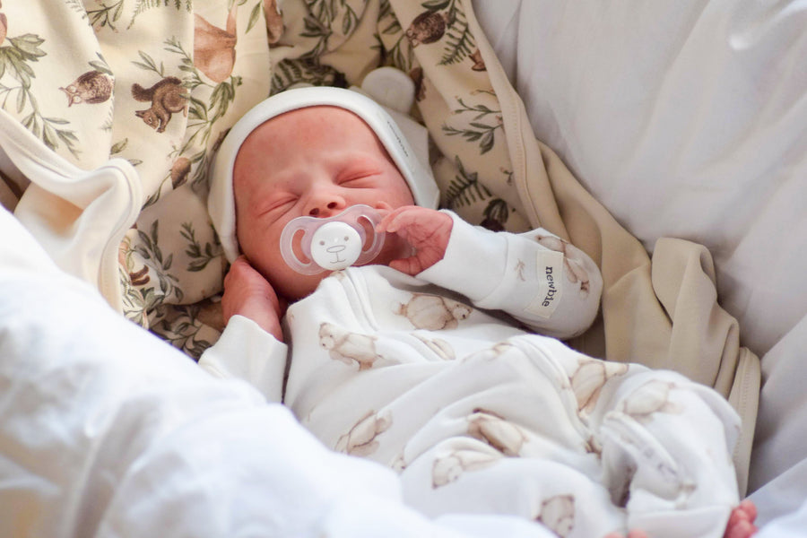 TEDDY'S CRADLE — photo 4