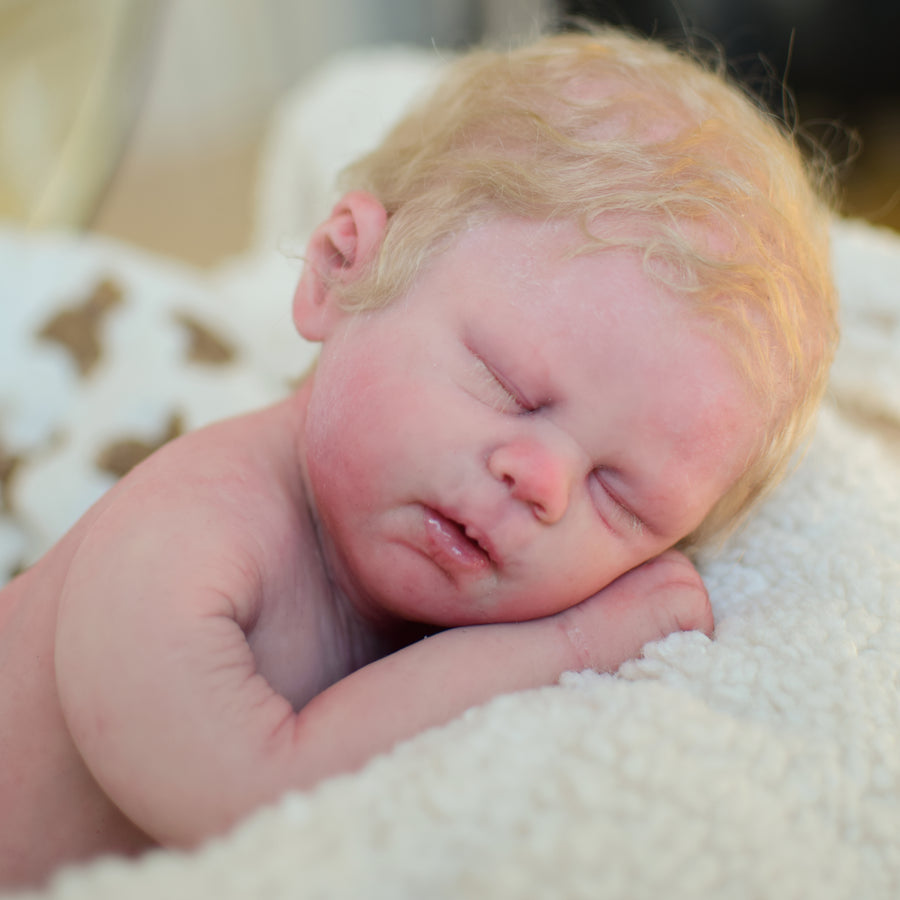 TEDDY'S CRADLE — photo 3