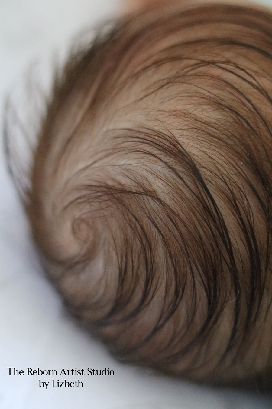 THE REBORN ARTIST STUDIO — photo 6