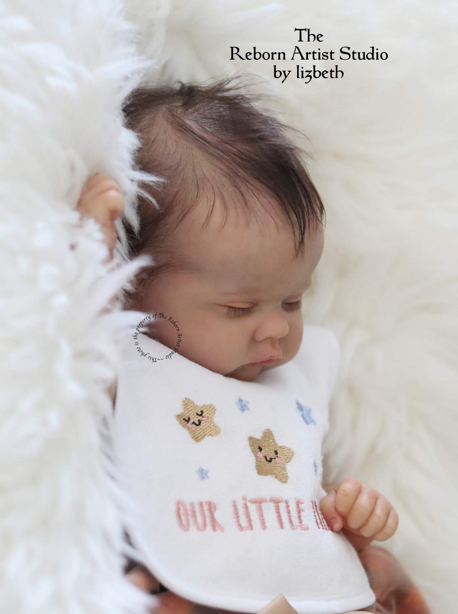 THE REBORN ARTIST STUDIO — photo 5