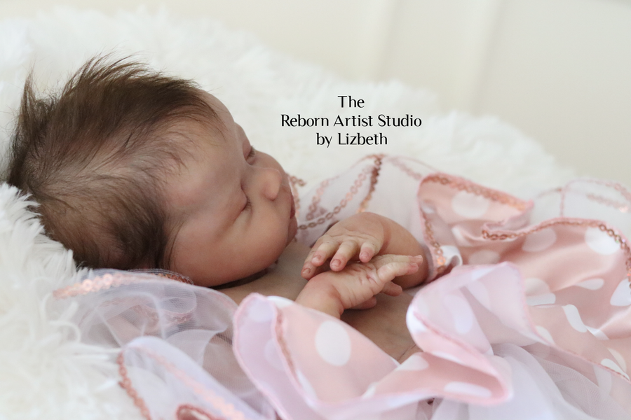 THE REBORN ARTIST STUDIO — photo 8